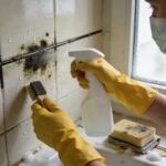 I Found Mold in My House and Here’s Everything I Learned About Getting Rid of It