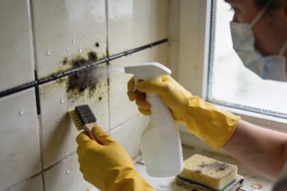 I Found Mold in My House and Here’s Everything I Learned About Getting Rid of It