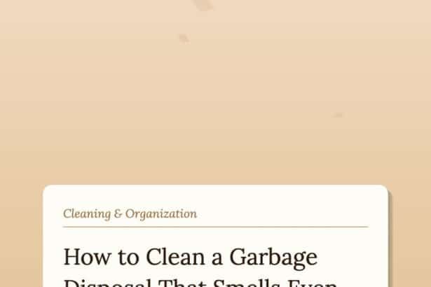 How to Clean a Garbage Disposal That Smells Even After You Run It