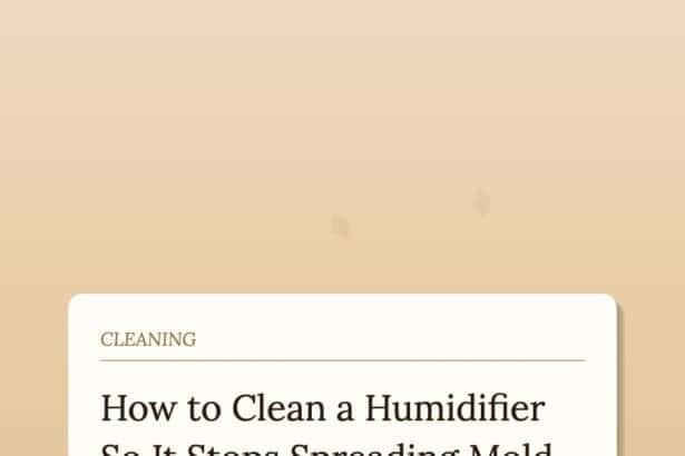 How to Clean a Humidifier So It Stops Spreading Mold Around Your Home