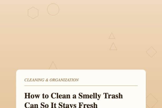 How to Clean a Smelly Trash Can So It Stops Stinking After One Day
