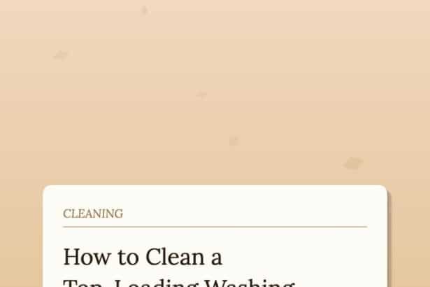 How to Clean a Top-Loading Washing Machine That Smells Like Mildew