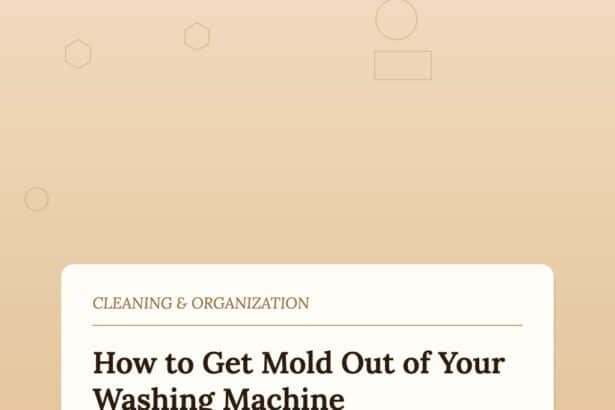 How to Get Mold Out of a Washing Machine Before It Ruins Your Clothes