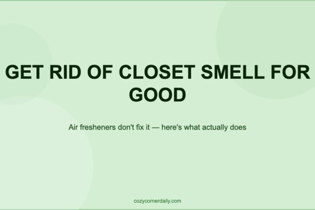 How to Get Rid of Closet Smell for Good (Not Just Temporarily)