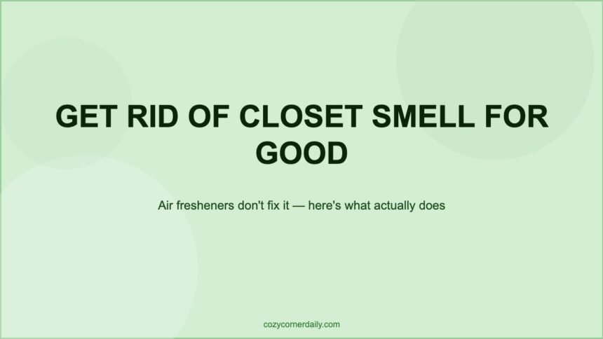 How to Get Rid of Closet Smell for Good (Not Just Temporarily)