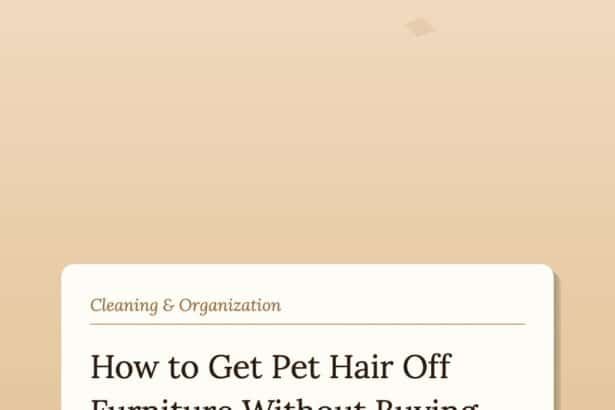 How to Get Pet Hair Off Furniture Without Buying New Furniture