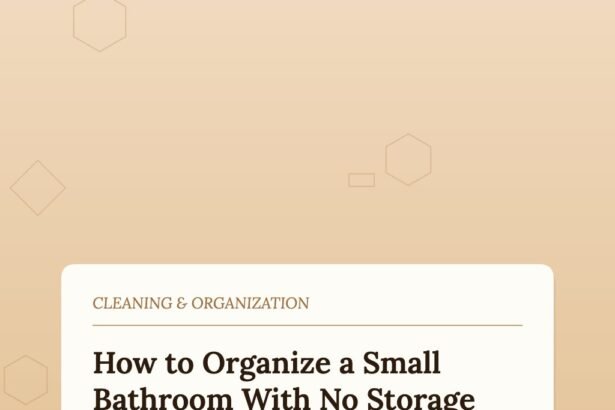 How to Organize a Small Bathroom When There Is No Storage Space