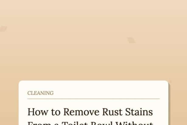 How to Remove Rust Stains From a Toilet Bowl Without Scrubbing