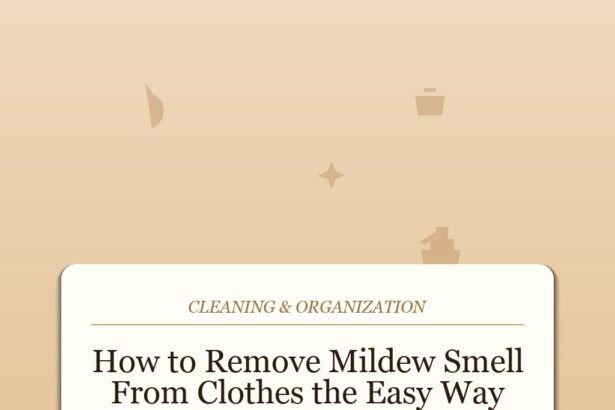 How to Get Mildew Smell Out of Clothes That Have Already Been Washed
