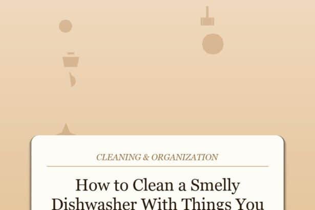 How to Clean a Smelly Dishwasher With Things You Already Have