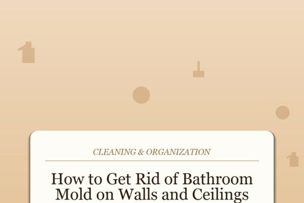 How to Get Rid of Bathroom Mold on Walls and Ceilings