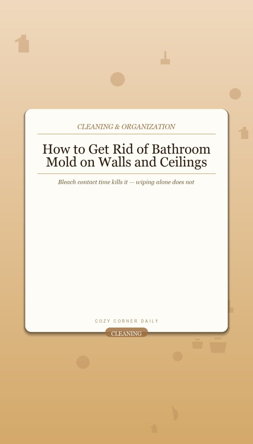 How to Get Rid of Bathroom Mold on Walls and Ceilings