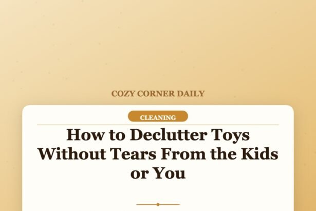 How to Declutter Toys Without Tears From the Kids or You