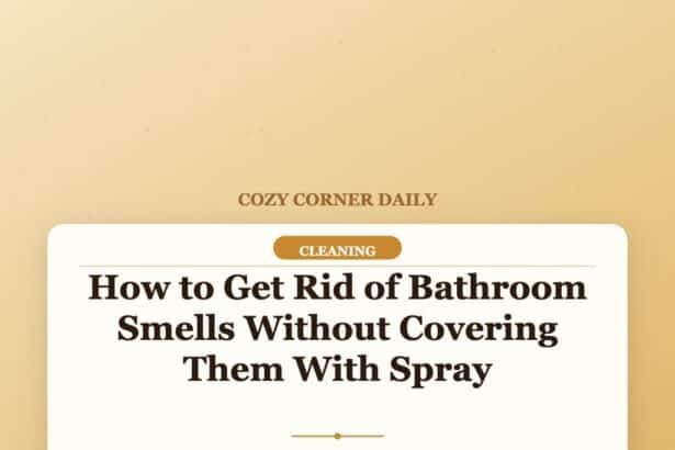 How to Get Rid of Bathroom Smells Without Covering Them With Spray