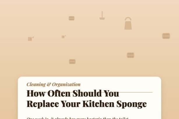 How Often Should You Replace Your Kitchen Sponge