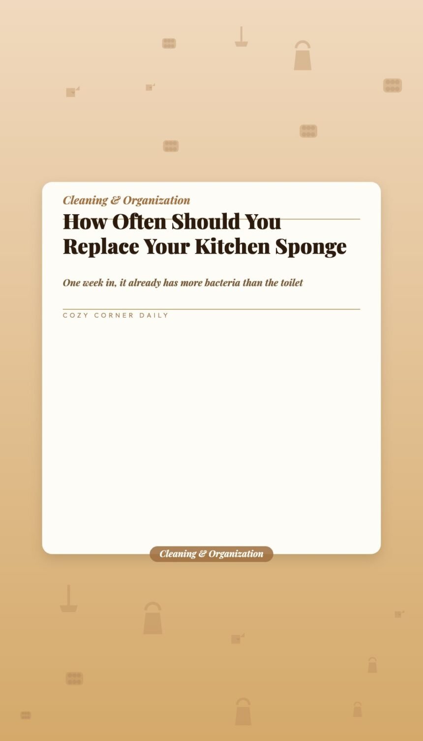 How Often Should You Replace Your Kitchen Sponge