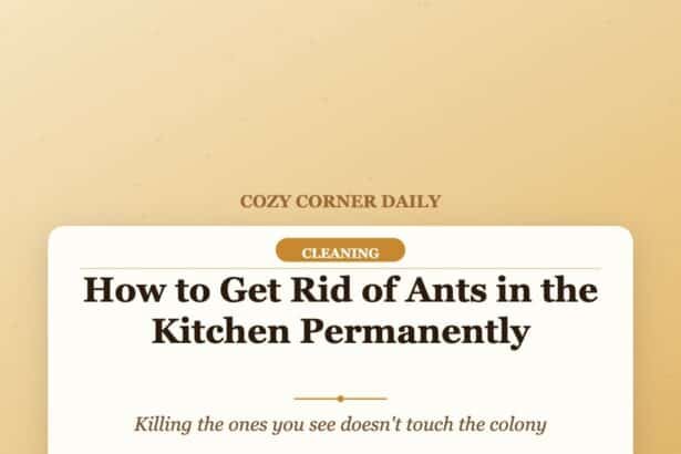 How to Get Rid of Ants in the Kitchen Permanently