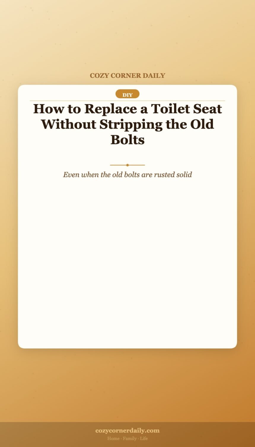 How to Replace a Toilet Seat Without Stripping the Old Bolts