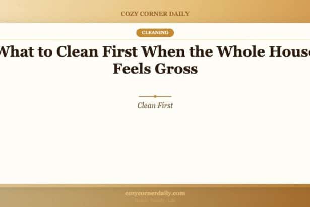 What to Clean First When the Whole House Feels Gross