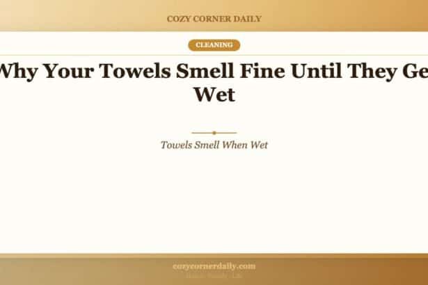 Why Your Towels Smell Fine Until They Get Wet